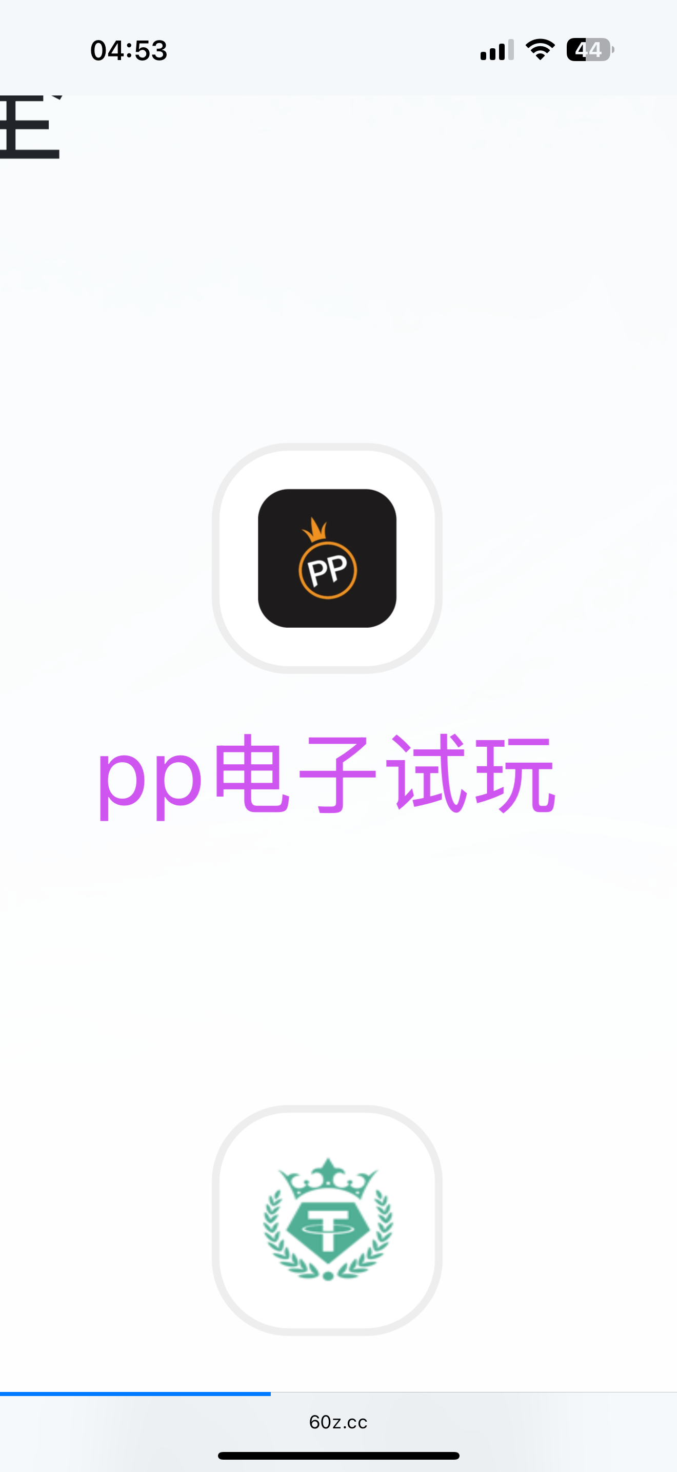 pp电子试玩